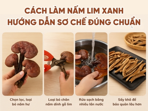 Hướng dẫn cách sơ chế nấm Lim Xanh tại nhà đúng - đơn giản - giữ trọn dược chất